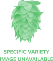 Pellets de houblon T90 - Nelson Sauvin (NZ)