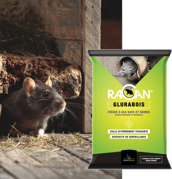 RACAN PLAQUES GLUE/GLURABOIS