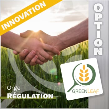 GREENLEAF ORGE HIVER/ORGE PRINTEMPS D'AUTOMNE + OPTION REGULATEUR