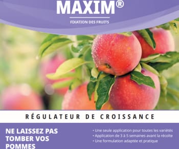MAXIM