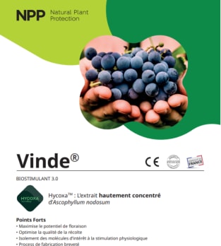 VINDE