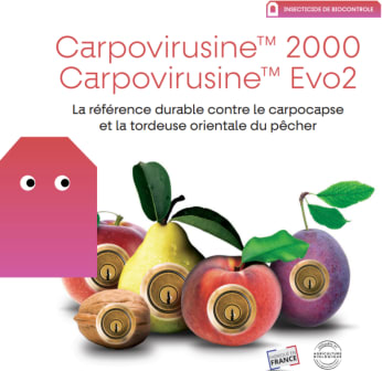 CARPOVIRUSINE 2000