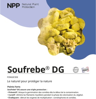 SOUFREBE DG