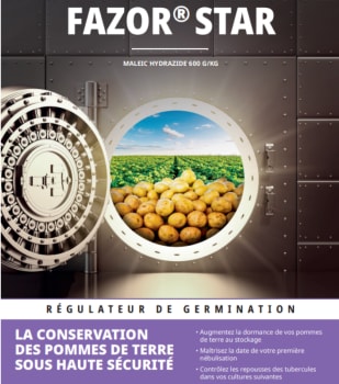 FAZOR STAR