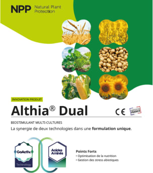 ALTHIA DUAL