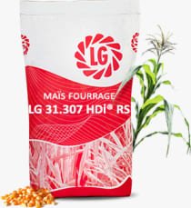 LG 31.307 HDI