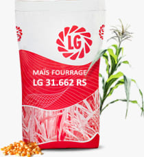 LG 31.662