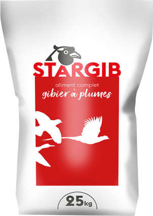 NOVIAGIB 2EME AGE SPORT