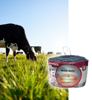 FIL RONCE MOTTO 1,7X4-10 500M