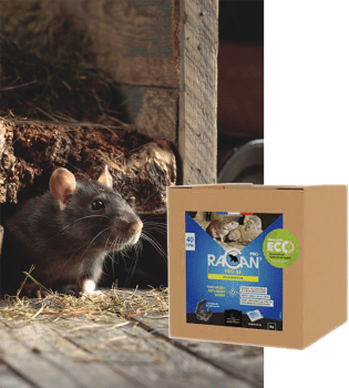 RACAN PATE BR 5 KG CARTON