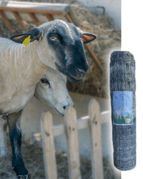 GRILLAGE AGNEAU GALVA 95X9X15