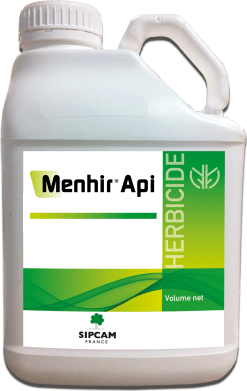 MENHIR API