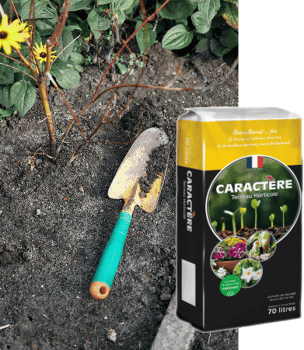 Terreau universel 70L