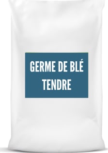 Germe de blé tendre