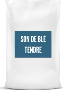 Son de blé tendre