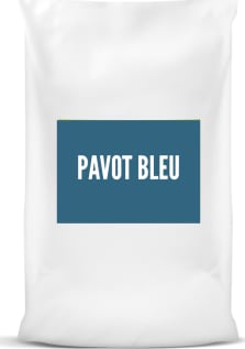 Pavot bleu