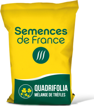 QUADRIFOLIA