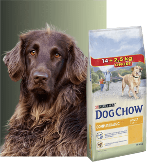 DOG CHOW COMPLET