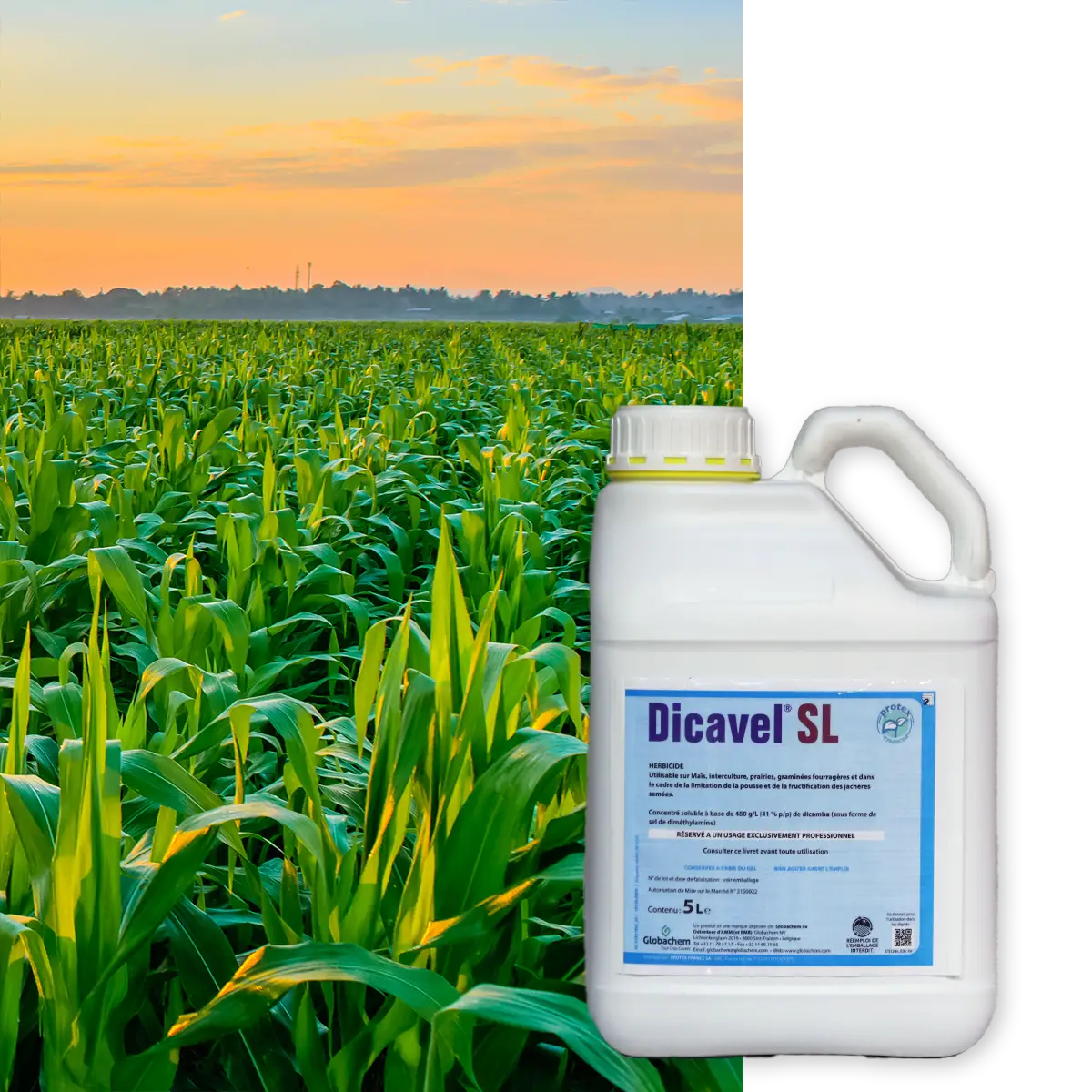 Herbicides, DICAVEL SL - Farmi