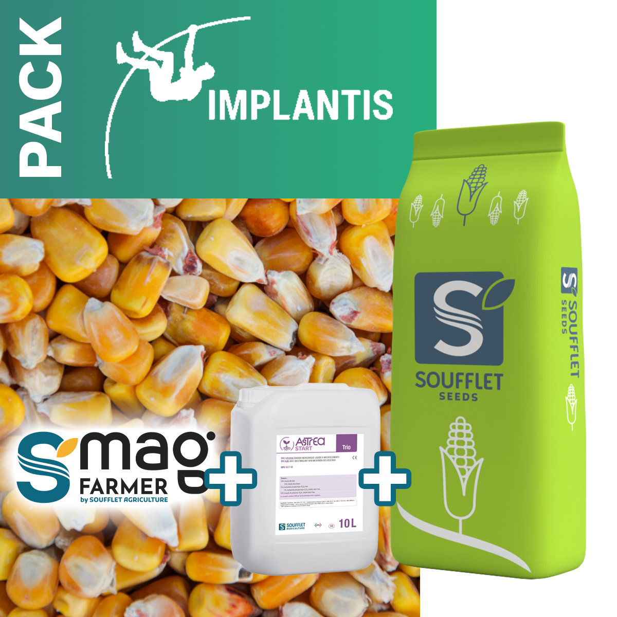 PACK 3,3Ha ICARE IMPLANTIS