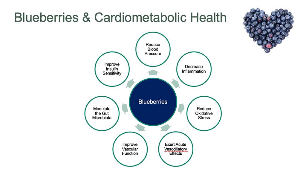 Blueberries and Cardiometabolic Health