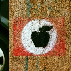 Streetart-erfurt-20128365189699o