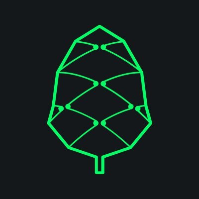 Pine Loans logo