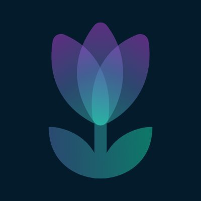Tulip logo