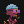 Argonaut #0011
