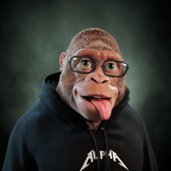 Alpha Kong #55