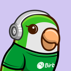 Birb NFT #1109 T-Shirt and Headset Green T-Shirt Silver Headset