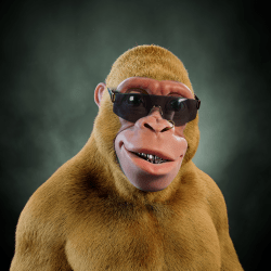 Alpha Kong #6