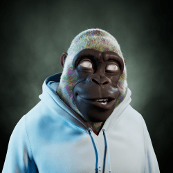 Alpha Kong #24