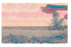p5 Mesh Painting 27 01 25
