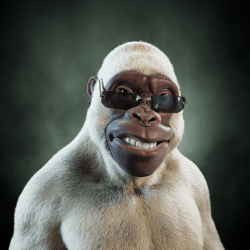 Alpha Kong #31