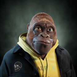Alpha Kong #57