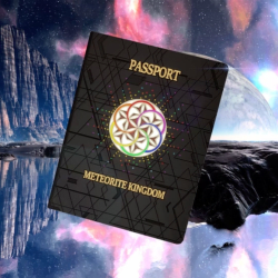 1 MeTeorite Kingdom Passport floor 0