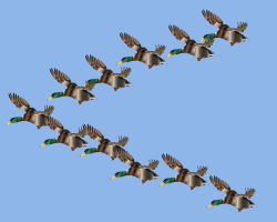 1 V avant-garde floor 0.025