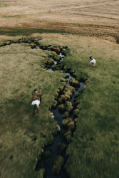 1 Nomadland Cabi Open Edition floor 0