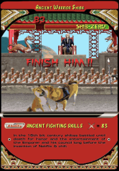 1 Shiba Cards floor 0.021