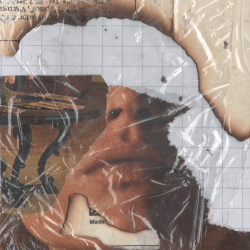 1 1mouth analog floor 0.045