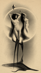 1 Camibus Editions floor 0.12