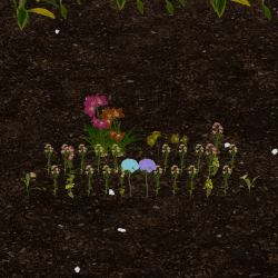 1 Token Garden floor 0.001