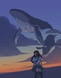 1 Sky Editions floor 0