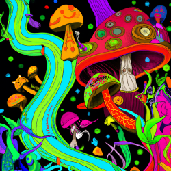 1 Mushroom Galaxy floor 0