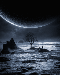 1 REVERSE VISUALS floor 0