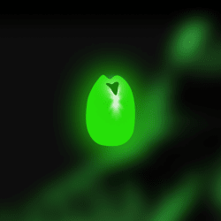 1 Particle Editions floor 0