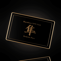 1 HayabusaNFT floor 0