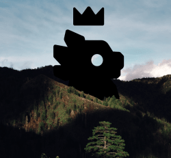 1 KaijuMerchCard floor 0