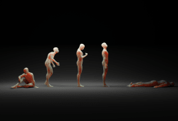 1 ANIMA RENDERS floor 0